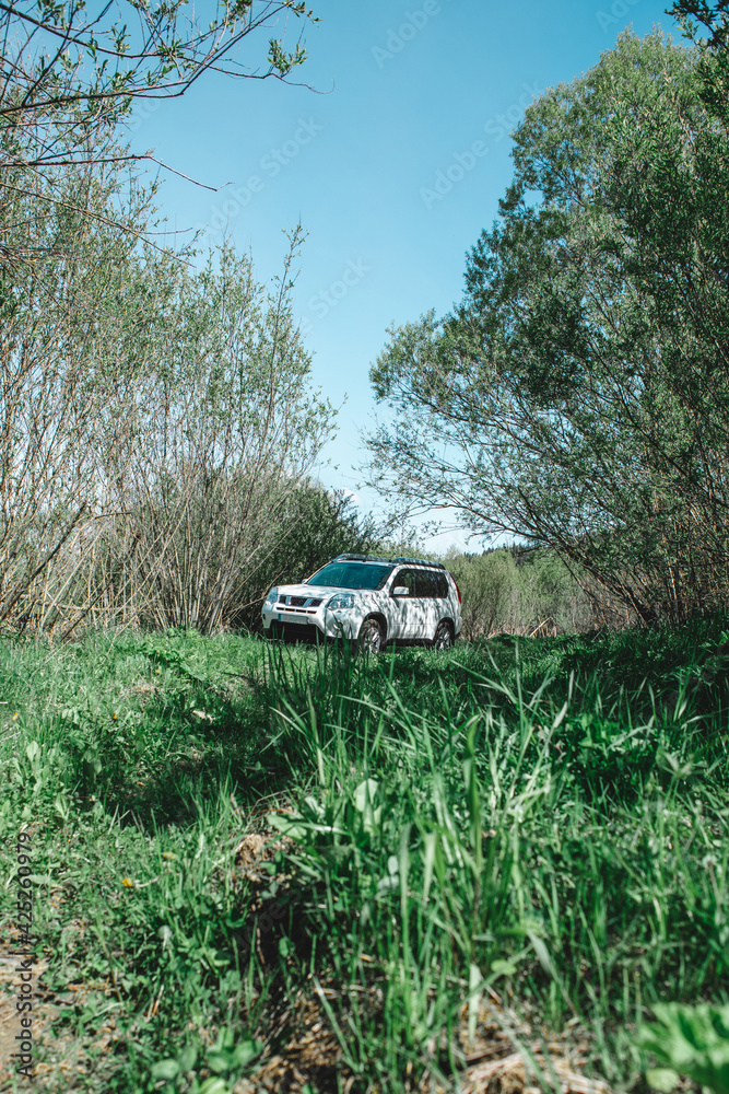 white suv car at country green road between trees