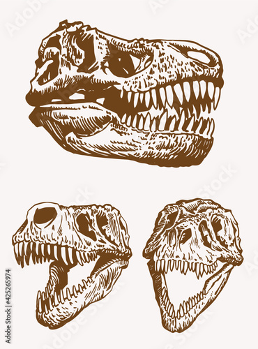 Graphical vintage set of skulls on tyrannosaurus,vector bone fossils