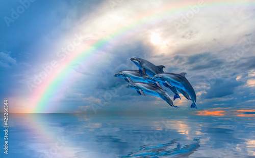 Group of dolphins jumping on the water at sunset, amazing rainbow in the background - Beautiful seascape and blue sky © muratart