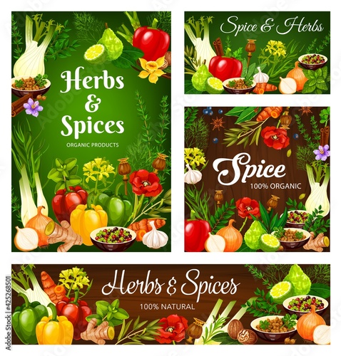 Herbs and spices, cooking seasonings and condiments, vector vegetables food. Farm herbs and seasonings garlic and rosemary, culinary poppy seeds, lime and ginger, celery herb and pepper with nutmeg