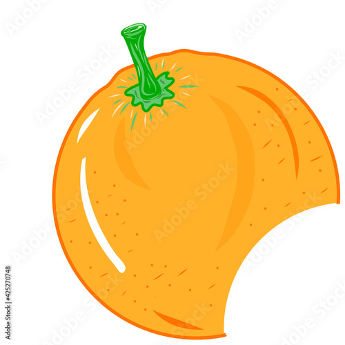 Colorful orange citrus fruit illustration. Idea for decors, ornaments, logo, gifts, damask, paper, covers, templates, celebrations, summer spring holidays, natural fresh themes. Isolated vector art. photo