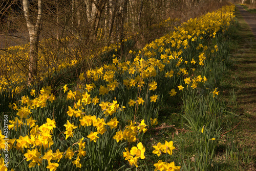 looking upwards on River Tweed