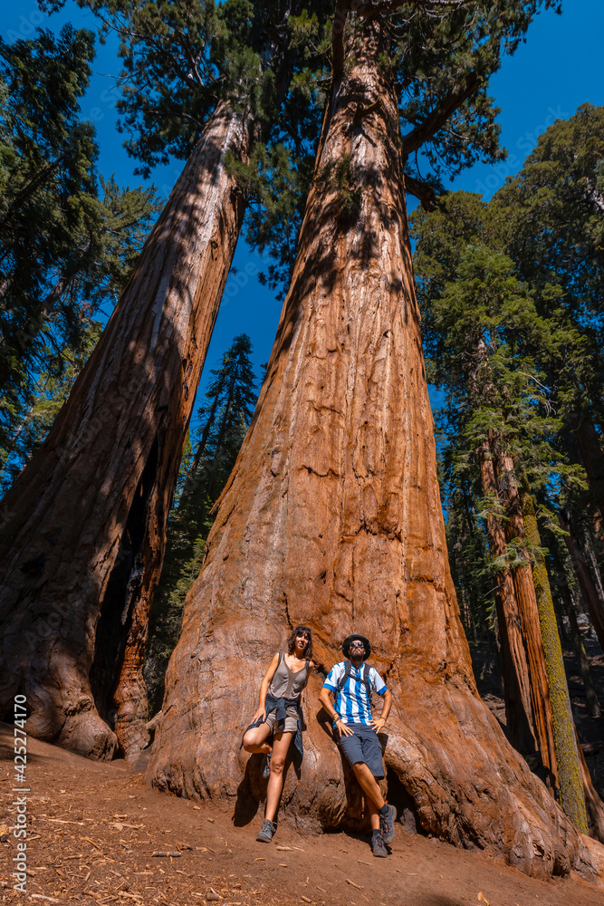 A couple with the texture of a tree bark in Sequoia National Park, California. United States.