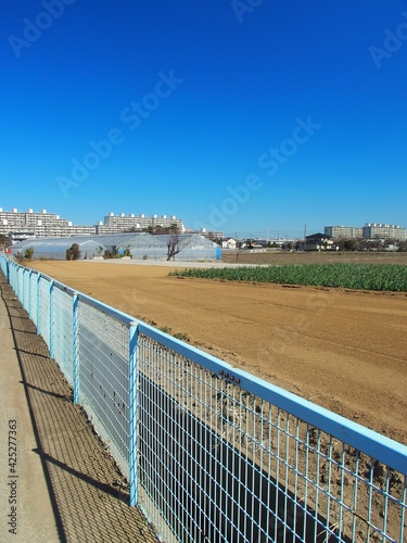 Wallpaper Mural 早春の金網越しに見る郊外の野菜畑風景 Torontodigital.ca