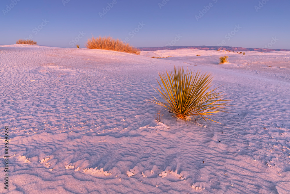 Fototapeta White Sands National Monument. New Mexico. Landscape with white sand dunes. Beautiful evening light. Mexican desert.