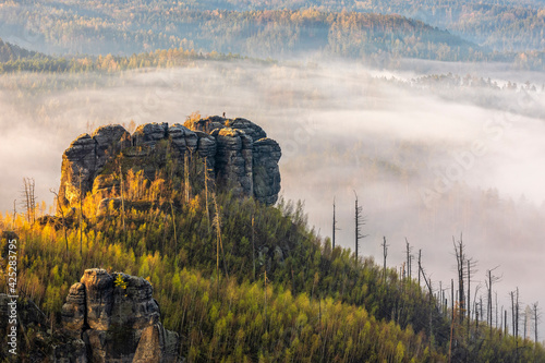 Murais de parede Landscape with fog