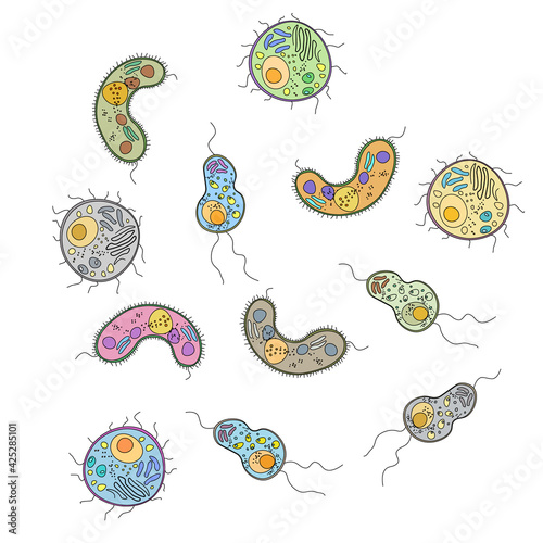 set of colourfull bacteria. coloring germs.