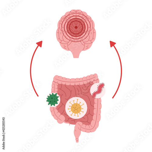 Poor intestinal health as a result of exposure to microorganisms leads to neuroinflammation vector illustration.