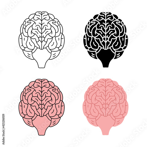 Human brain view vector illustration isolated on white background