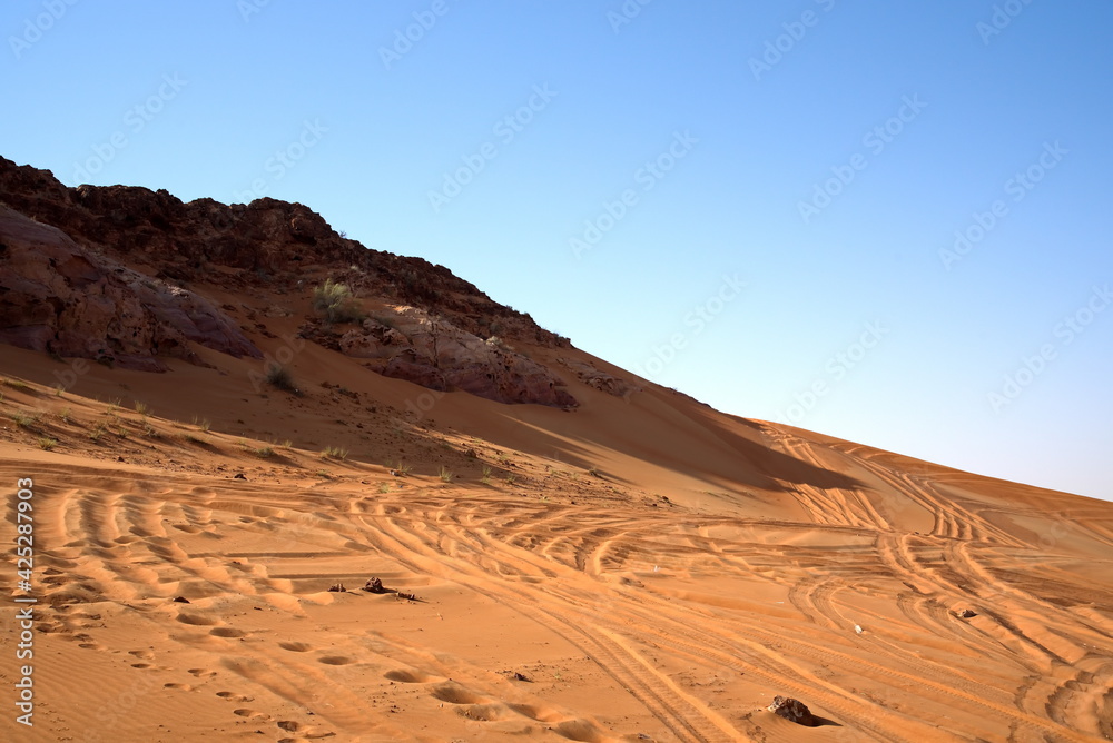 Around Nazwa and pink rock desert, viewing of the sand and plant in the desert, sharjah, United Arab Emirates