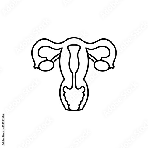 Human organ uterus color line icon. Pictogram for web page, mobile app