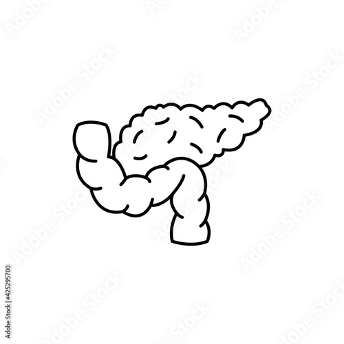 Human organ pancreas color line icon. Pictogram for web page, mobile app