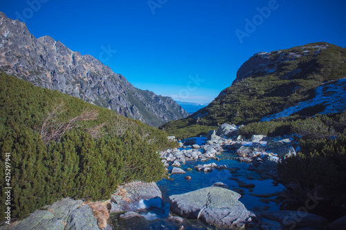 Fototapeta Naklejka Na Ścianę i Meble -  Sunny morning in Tatra Mountains. Fast stream of water running down from a lake to Wielka Siklawa - the highest waterfall in Poland. Selective focus on the rocks, blurred background.