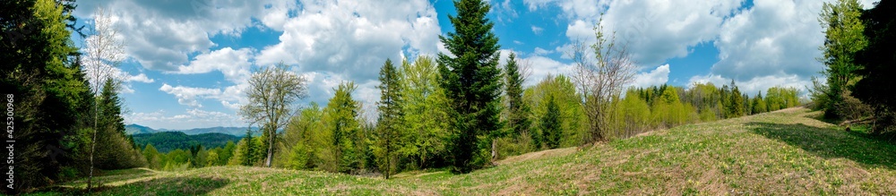 Beautiful rural summer landscape with forest, blue sky and white clouds, panorama. spring landscape with panoramic views of meadow and mountains