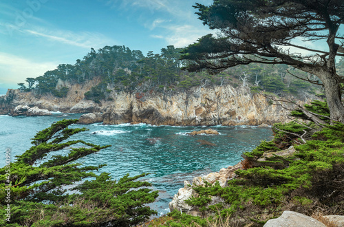 Beautiful landscape, views of cliffs with cypress trees, ocean coast in Point Lobos State Park on the central coast of California. photo