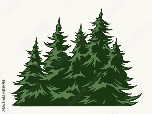 Green fir trees vintage template