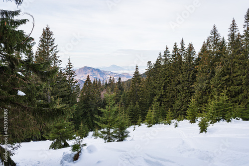 Obraz na płótnie Romanian winter landscape in the mountains w salonie