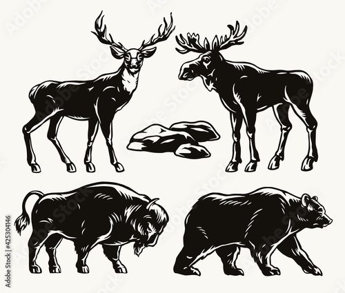 Animals vintage monochrome composition