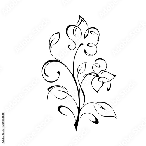 floral design 11. floral design with blooming flowers on stems with leaves and curls in black lines on a white background