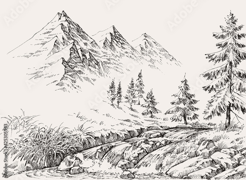River in the mountains and pine trees landscape