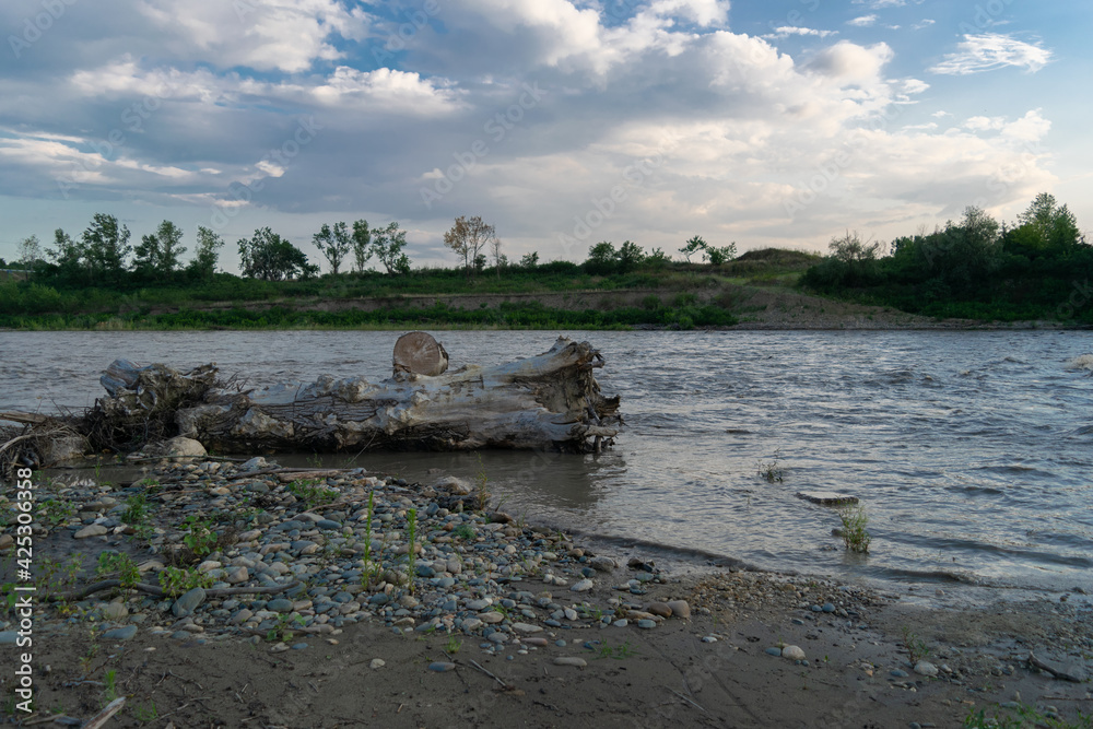 Beautiful waves of the river, clouds and green bushes, in front of an old tree. Beautiful waves of the river, clouds and green bushes, in front of an old tree.