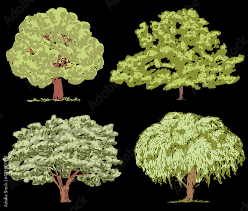 Freehand drawings of various deciduous trees in summer