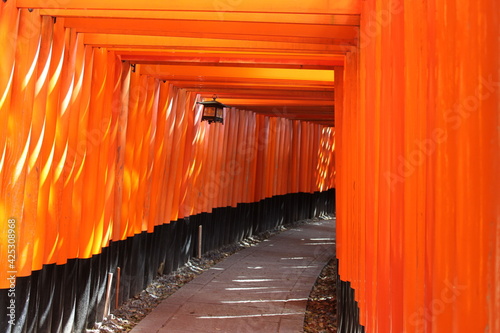 Kyoto Torii Gates