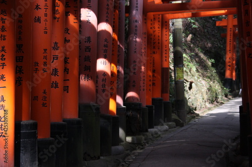 Kyoto Torii