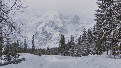 The road to Morskie Oko in the Polish Tatras