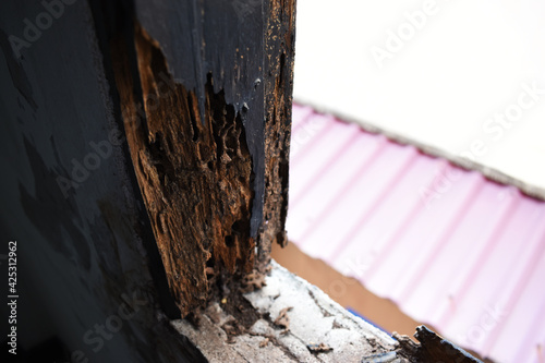 Damaged window frames From being eaten by termites, causing decay