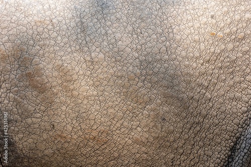 Rhino Cracked Skin Background