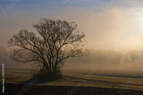 misty morning sunrise