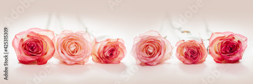 Pink peach rose flowers wedding and Valetine's day banner