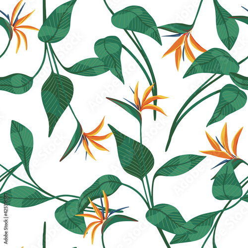 Strelitzia reginae, tropical flowers seamless pattern. Hand drawn vector illustration. Colored exotic plants ornament. Botanical design for fabric, textile, wallpaper, background, print, decor, wrap.