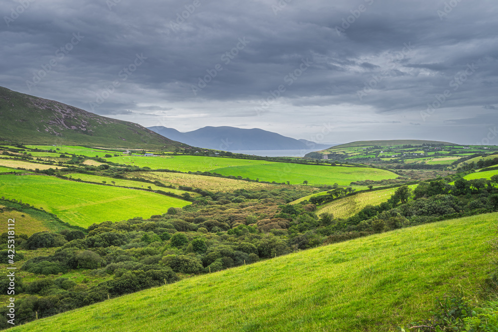 Green fields, pastures, farms and farmlands in Dingle mountains. Dramatic storm sky, Wild Atlantic Way, Kerry, Ireland