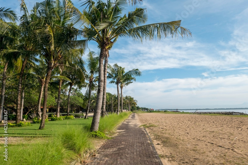 Pedestrian path on the beach side. The right side is the beach and the left is a garden with coconut trees © adhes
