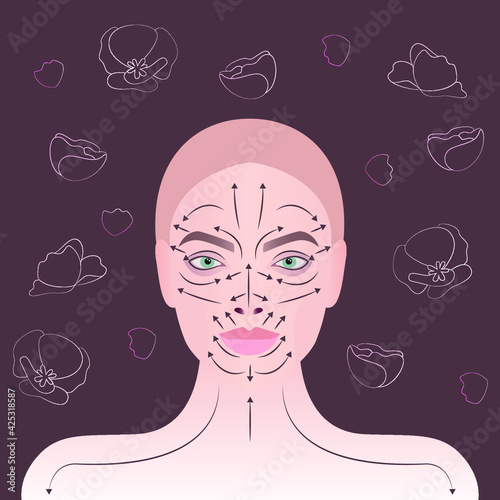 Face massage. The main massage lines for the face and neck. Close-up of the girl's face. Vector schematic image.