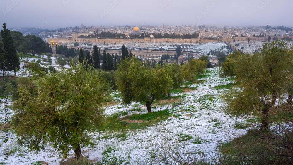 Jerusalem in the snow, beautiful view of the Temple mount and the Old City from the olive tree grove on the Mount of Olives after a February snowfall