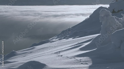 View from snowy slopes of mountain in valley. Thick fog and clouds move like river on horizon. Tree was frozen and completely covered with frost