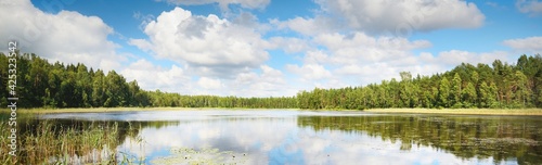 Blue lake, green birch tree forest, Estonia. Picturesque panoramic scenery. Reflections in the water. Atmospheric landscape. Pure nature, ecology, environmental conservation, travel destinations