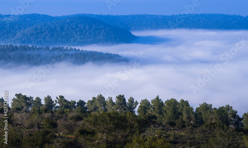 Beautiful view of morning cloud inversion in the Jerusalem Forest and Judean hills
