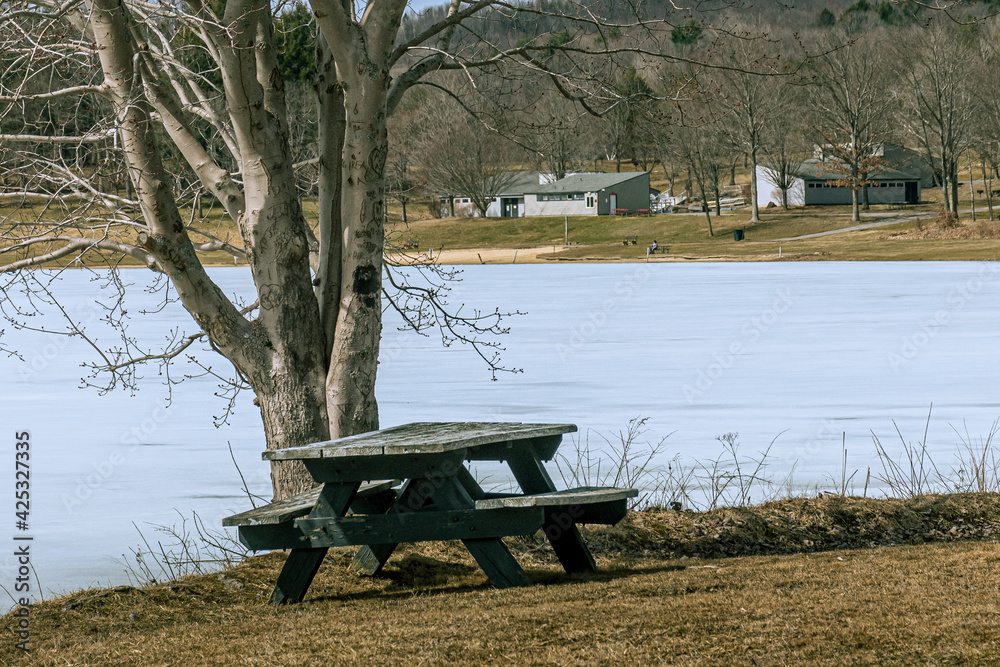 Park Bench and Tree at Nathaniel Cole Park in Harpursville in Broome County in Upstate NY.  Ice still on lake in March.  Tree is a favorite place for people to carve their initials and Hearts in bark.
