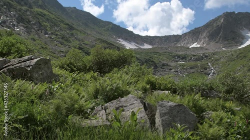 Summer day in mountain valley. Wind stirs ferns and green grass. Cloud floats over rocky ridge in blue sky. On slopes of rocks there are streams from melting of glacier