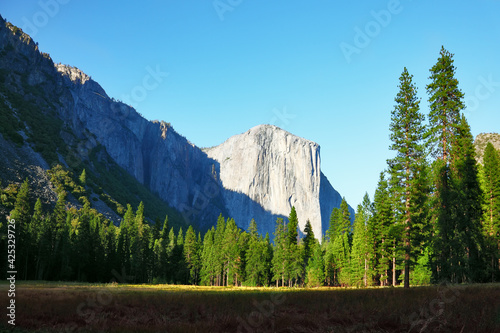 The beautiful glade in Yosemite