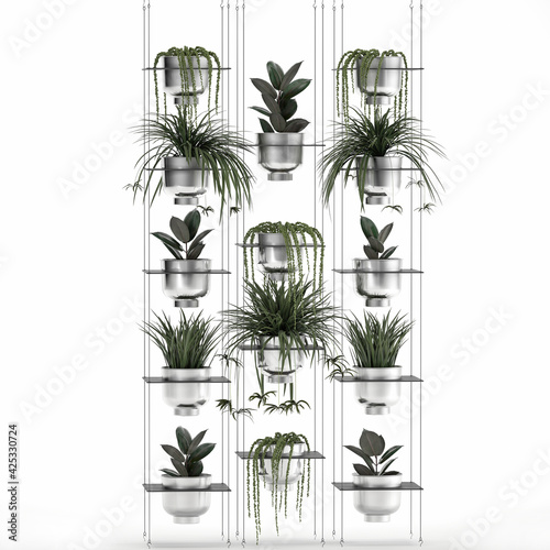 ornamental plants on shelves in a flower chrome pots, vertical garden
