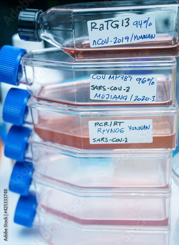 Several vials of Sars-Cov-2 strain samples from Mojiang and Yunnan in research lab, conceptual image photo