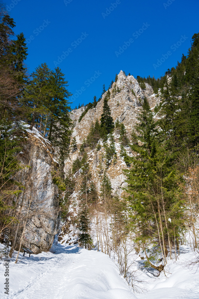Canyon in Piatra Craiului National Park, Romania