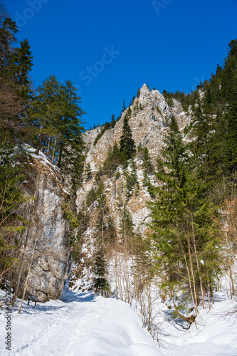 Obraz na płótnie Canyon in Piatra Craiului National Park, Romania w salonie