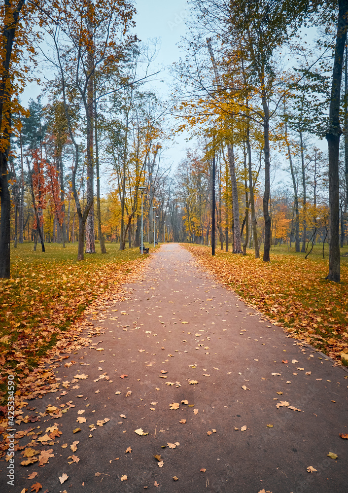 Obraz premium Alley in the autumn park with colorful trees.