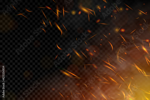Fire. Fire sparks flying up on transparent background. Smoke and glowing particles on black. Realistic lighting sparks with bokeh effect for design. Vector illustration.